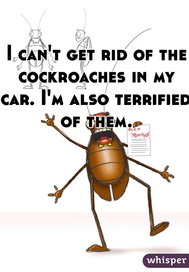 I can't get rid of the cockroaches in my car. I'm also terrified of them.