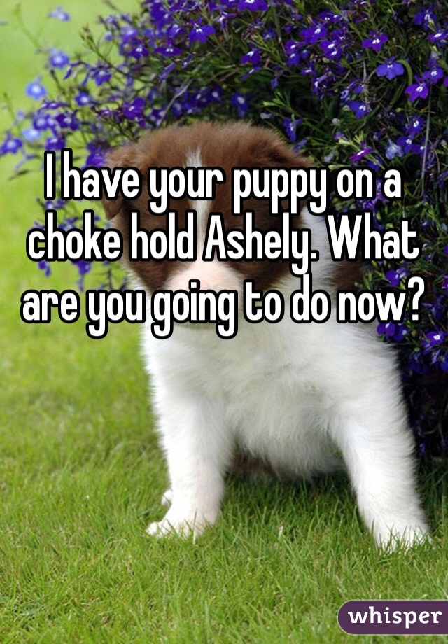 I have your puppy on a choke hold Ashely. What are you going to do now?