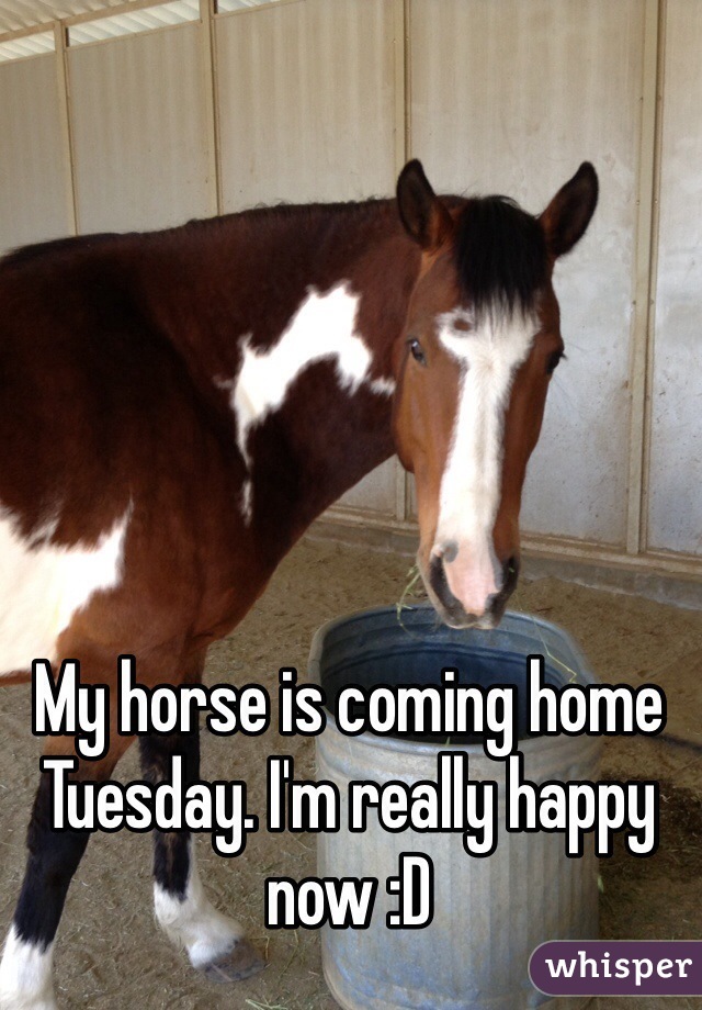 My horse is coming home Tuesday. I'm really happy now :D