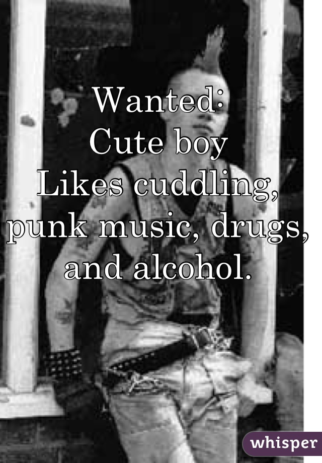 Wanted:
Cute boy
Likes cuddling, punk music, drugs, and alcohol.