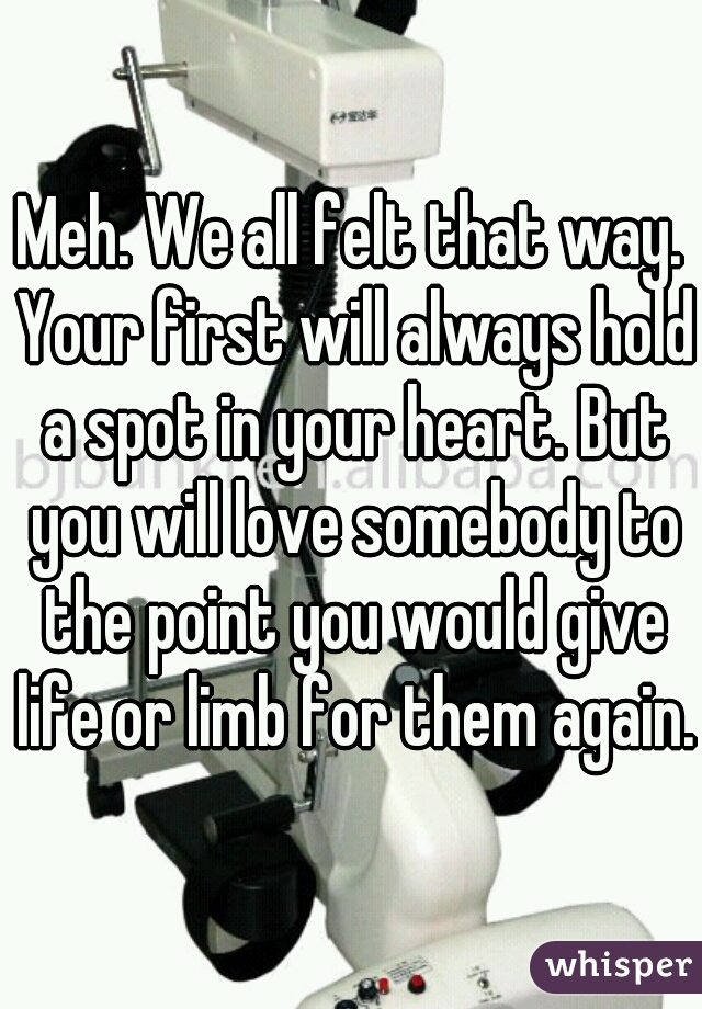 Meh. We all felt that way. Your first will always hold a spot in your heart. But you will love somebody to the point you would give life or limb for them again.