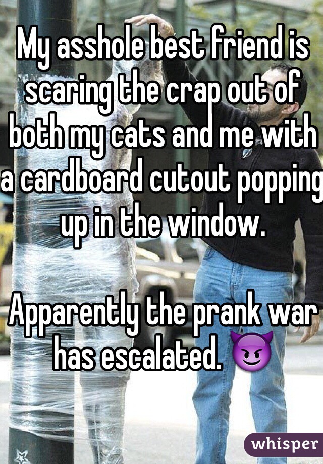 My asshole best friend is scaring the crap out of both my cats and me with a cardboard cutout popping up in the window. 

Apparently the prank war has escalated. 😈
