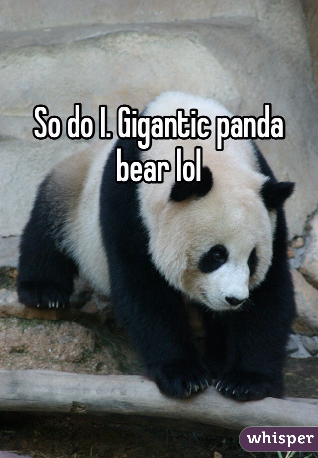 So do I. Gigantic panda bear lol