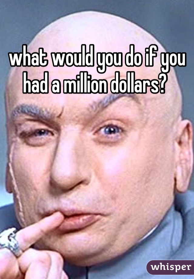 what would you do if you had a million dollars? 