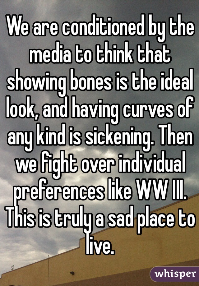 We are conditioned by the media to think that showing bones is the ideal look, and having curves of any kind is sickening. Then we fight over individual preferences like WW III. This is truly a sad place to live.