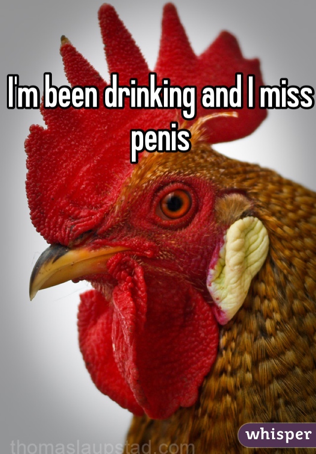 I'm been drinking and I miss penis 