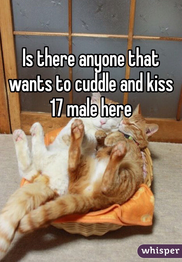 Is there anyone that wants to cuddle and kiss 
17 male here
