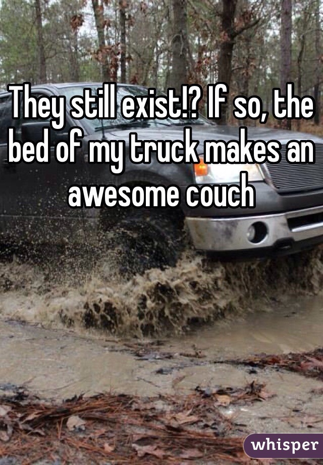 They still exist!? If so, the bed of my truck makes an awesome couch