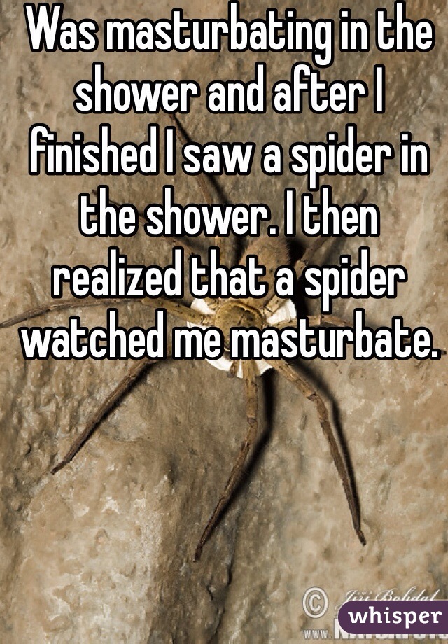 Was masturbating in the shower and after I finished I saw a spider in the shower. I then realized that a spider watched me masturbate.