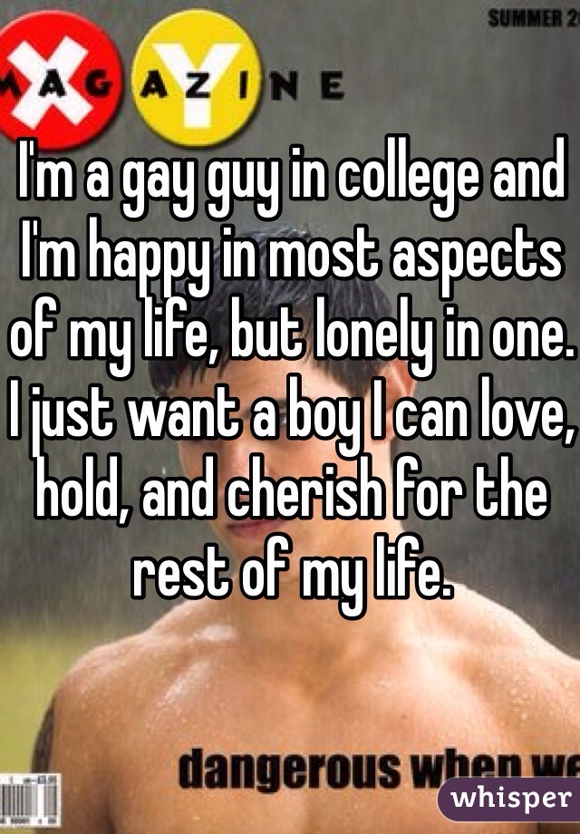 I'm a gay guy in college and I'm happy in most aspects of my life, but lonely in one. I just want a boy I can love, hold, and cherish for the rest of my life.
