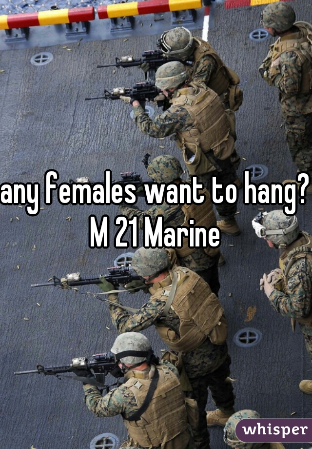 any females want to hang?
M 21 Marine