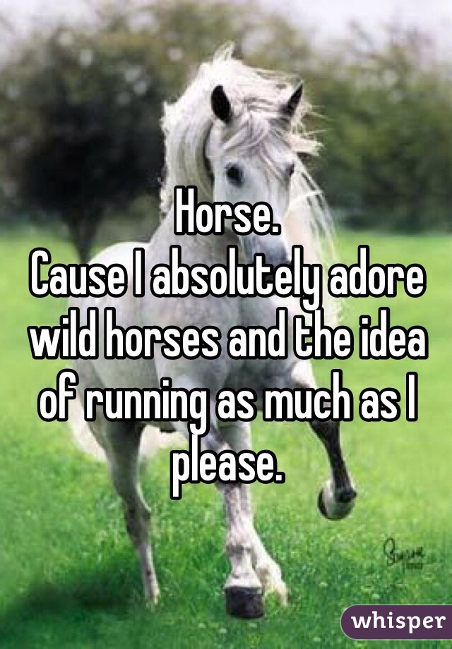 Horse. 
Cause I absolutely adore wild horses and the idea of running as much as I please. 