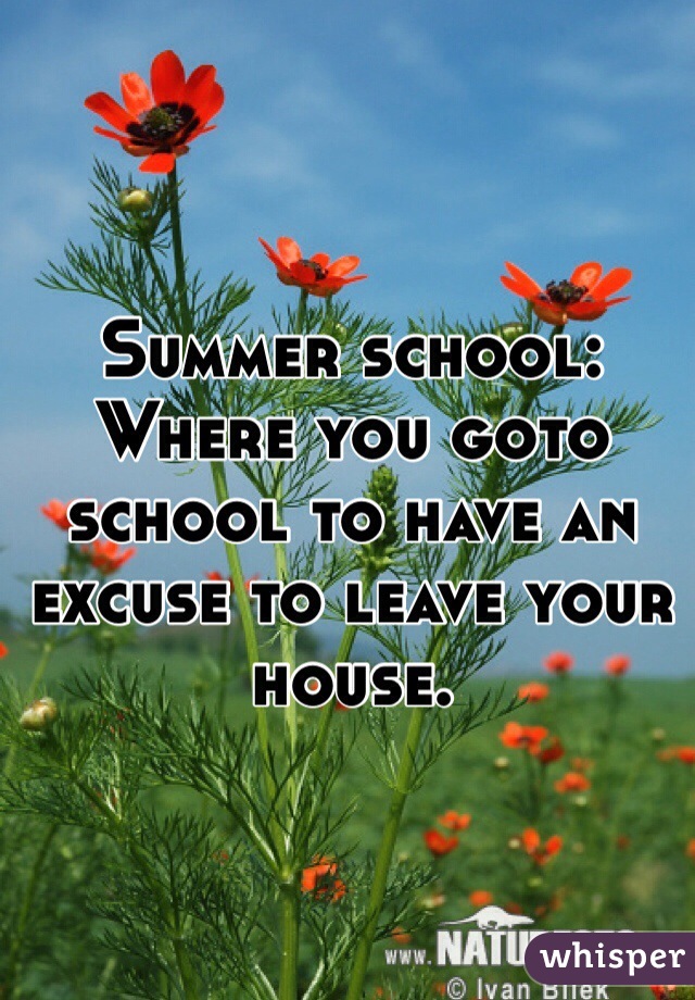 Summer school: Where you goto school to have an excuse to leave your house.