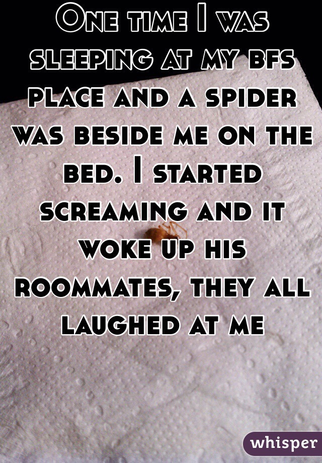 One time I was sleeping at my bfs place and a spider was beside me on the bed. I started screaming and it woke up his roommates, they all laughed at me