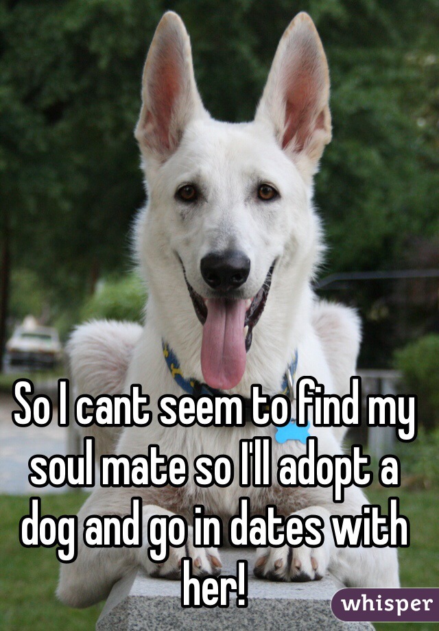 So I cant seem to find my soul mate so I'll adopt a dog and go in dates with her! 