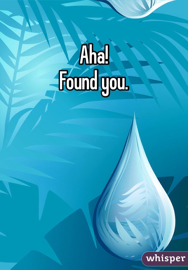 Aha!
Found you. 