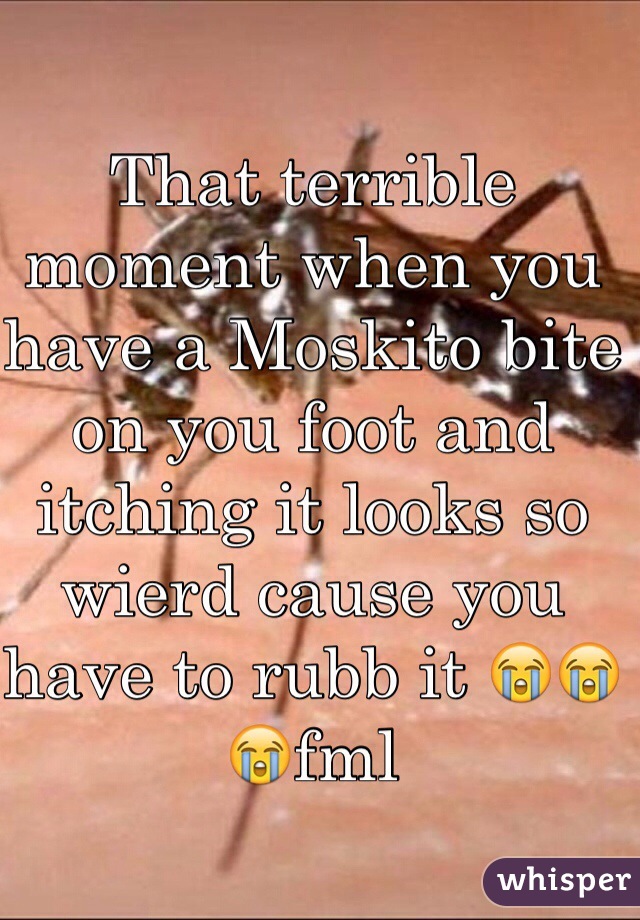 That terrible moment when you have a Moskito bite on you foot and itching it looks so wierd cause you have to rubb it 😭😭😭fml