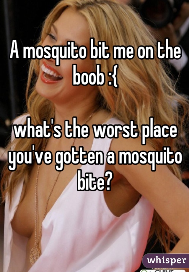 A mosquito bit me on the boob :{ 

what's the worst place you've gotten a mosquito bite?
