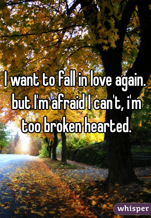 I want to fall in love again. but I'm afraid I can't, i'm too broken hearted.