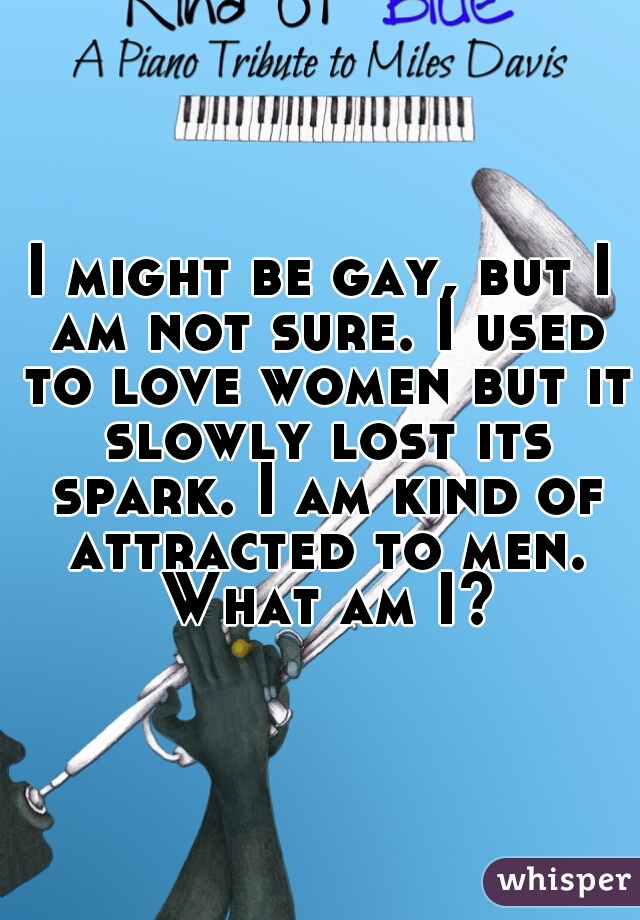 I might be gay, but I am not sure. I used to love women but it slowly lost its spark. I am kind of attracted to men. What am I?