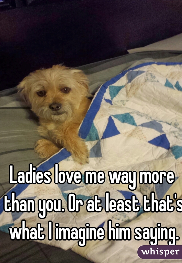Ladies love me way more than you. Or at least that's what I imagine him saying.