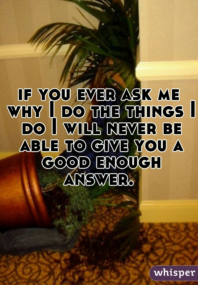 if you ever ask me why I do the things I do I will never be able to give you a good enough answer. 