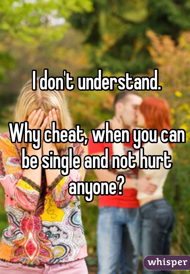 I don't understand.

Why cheat, when you can be single and not hurt anyone?