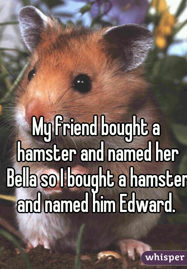 My friend bought a hamster and named her Bella so I bought a hamster and named him Edward. 