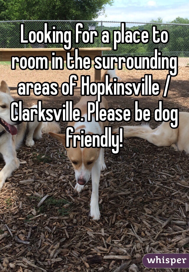 Looking for a place to room in the surrounding areas of Hopkinsville / Clarksville. Please be dog friendly! 