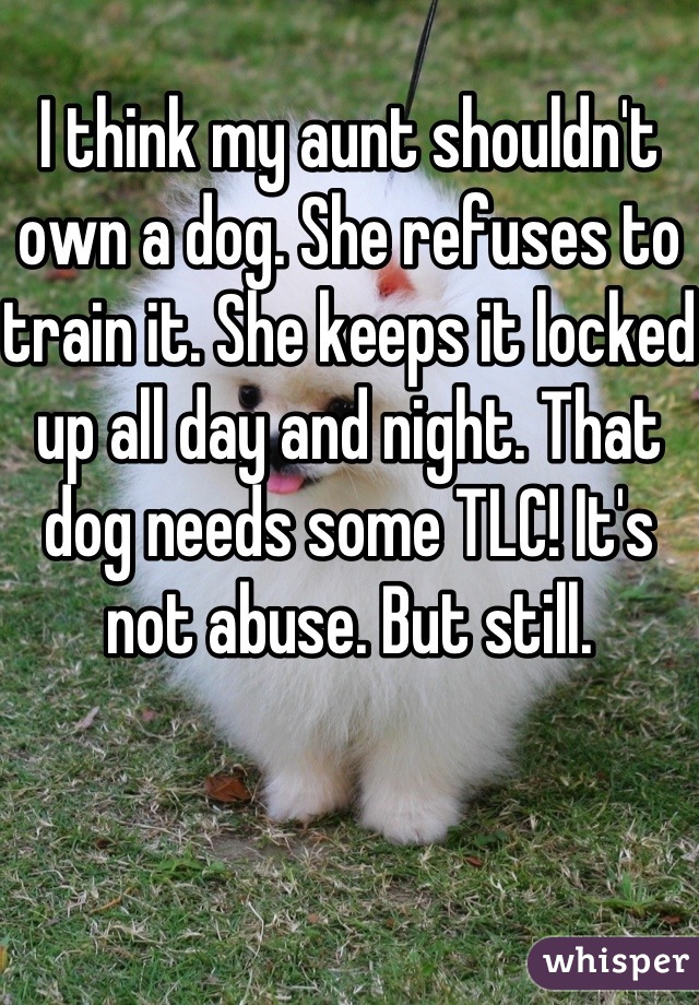 I think my aunt shouldn't own a dog. She refuses to train it. She keeps it locked up all day and night. That dog needs some TLC! It's not abuse. But still.