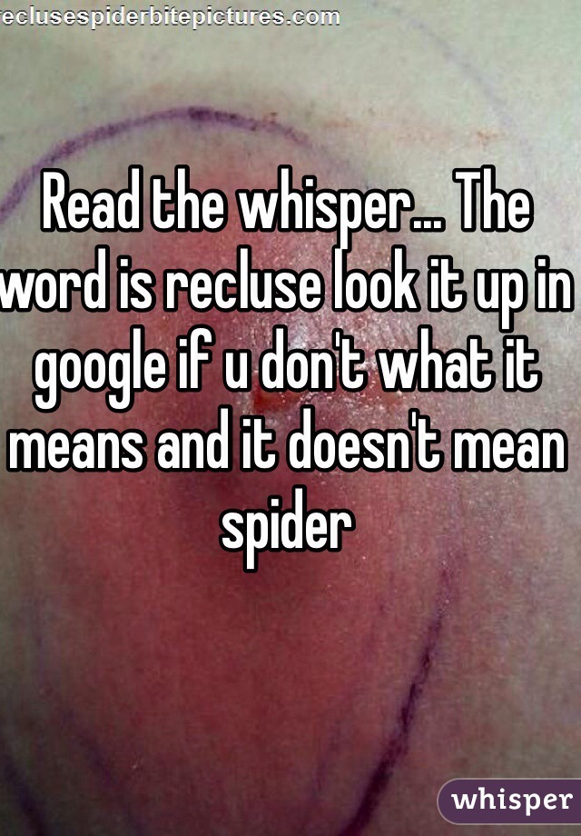 Read the whisper... The word is recluse look it up in google if u don't what it means and it doesn't mean spider