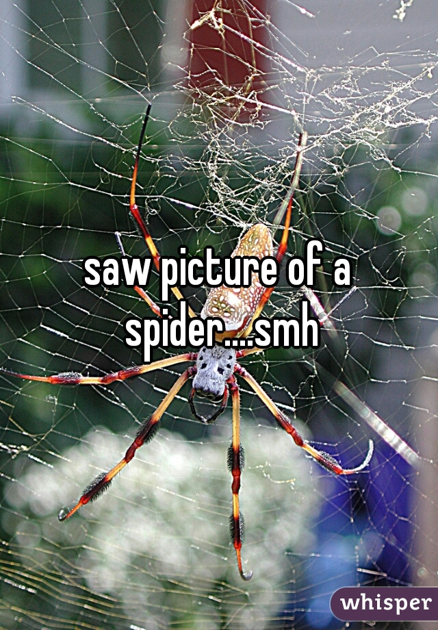 saw picture of a spider....smh