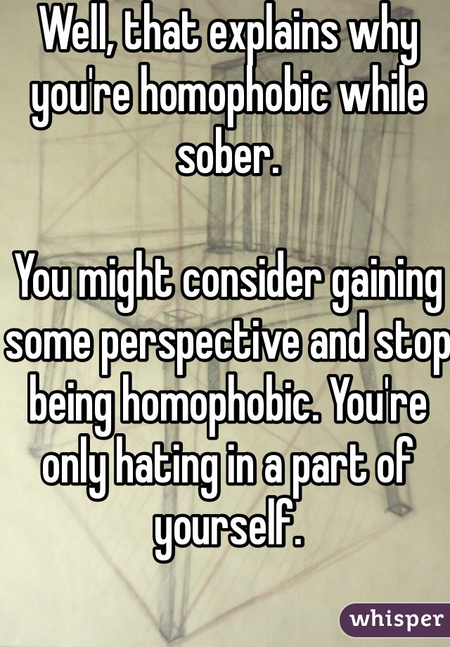 Well, that explains why you're homophobic while sober. 

You might consider gaining some perspective and stop being homophobic. You're only hating in a part of yourself. 