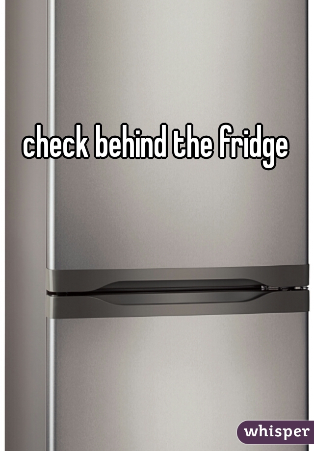 check behind the fridge