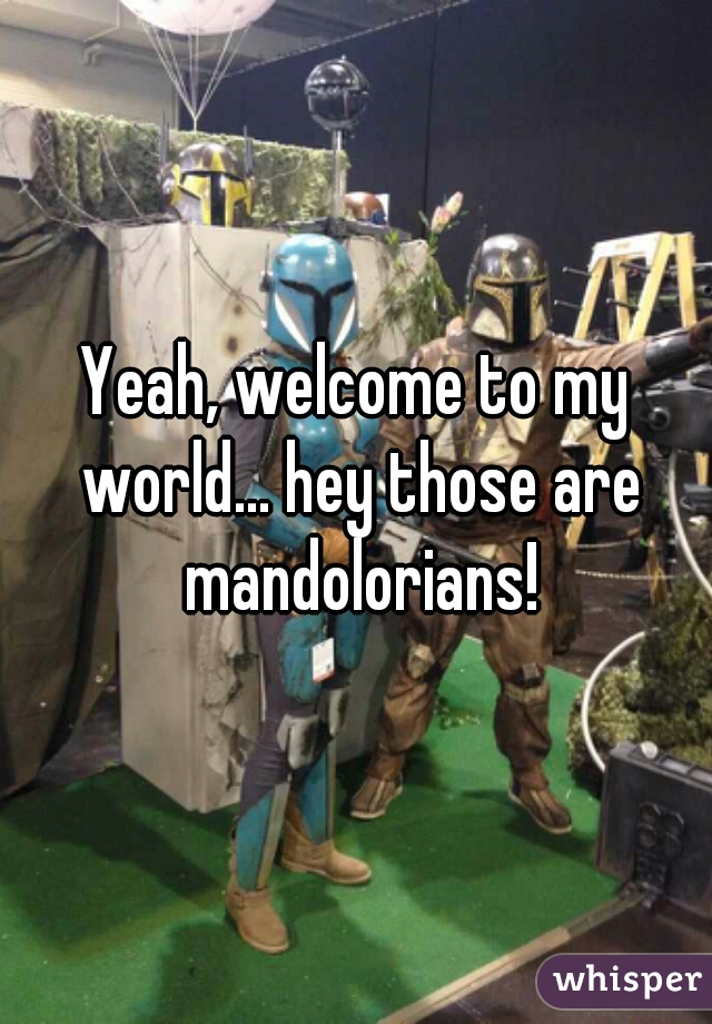 Yeah, welcome to my world... hey those are mandolorians!
