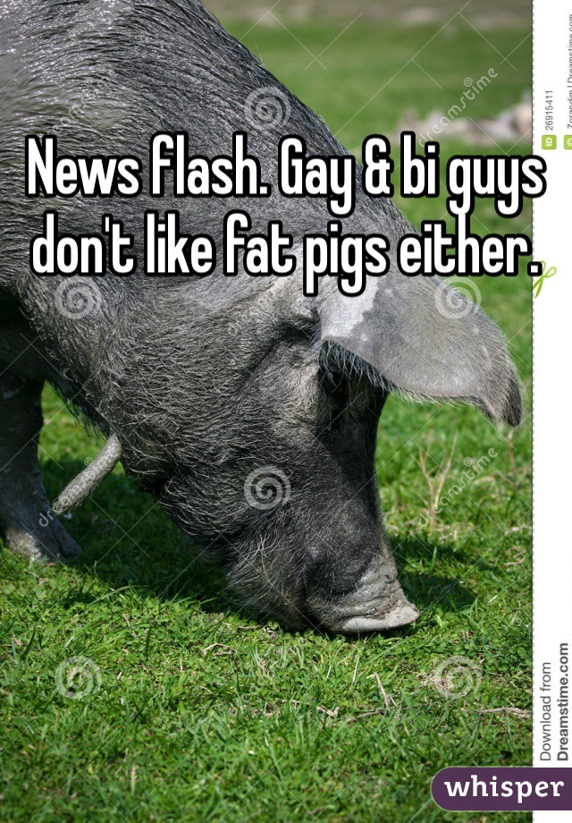 News flash. Gay & bi guys don't like fat pigs either. 