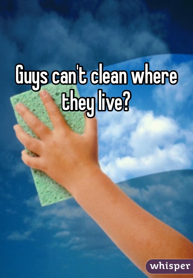 Guys can't clean where they live?