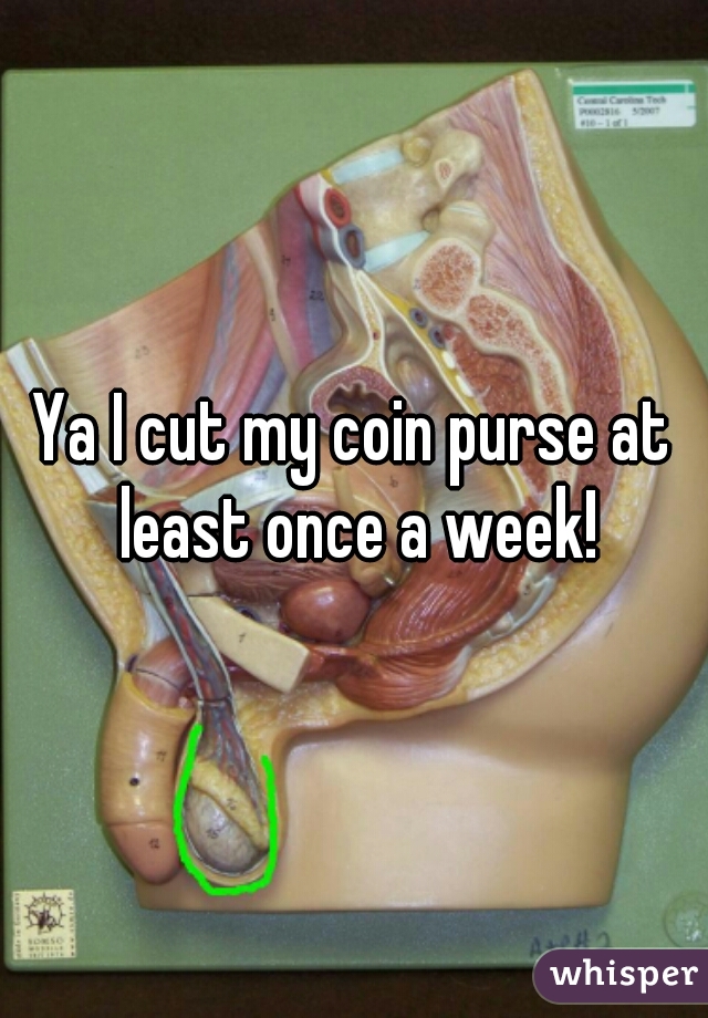Ya I cut my coin purse at least once a week!