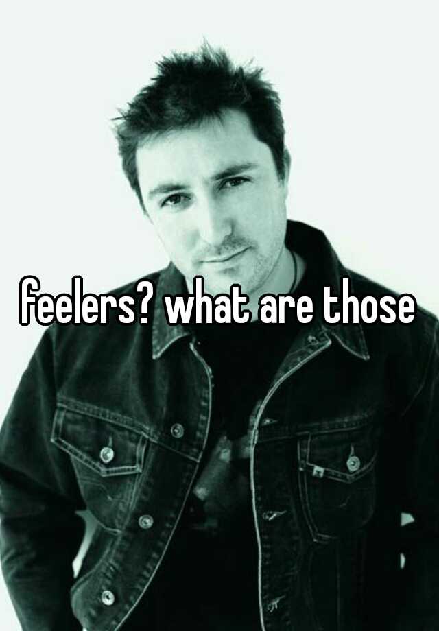 feelers-what-are-those