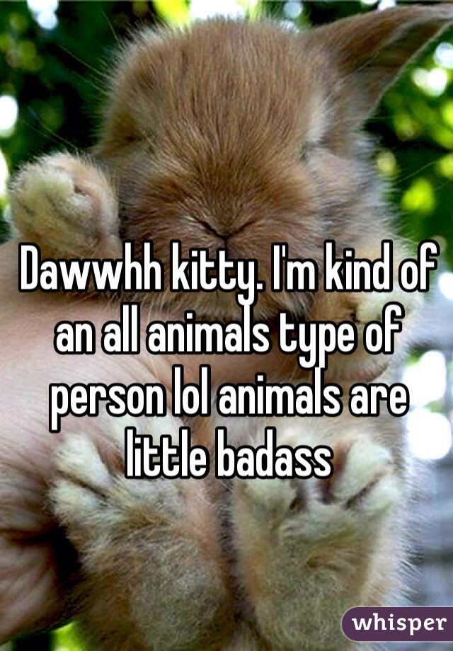 Dawwhh kitty. I'm kind of an all animals type of person lol animals are little badass