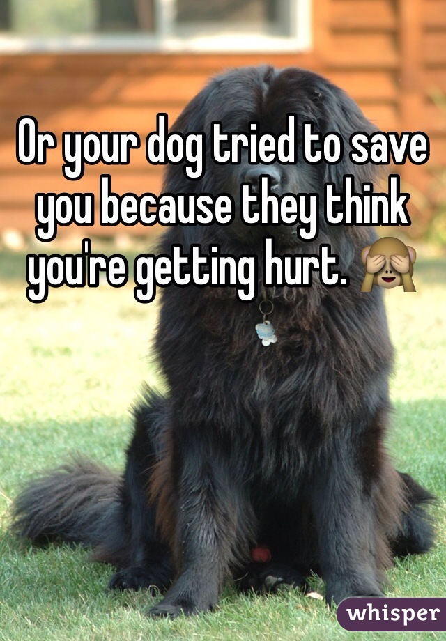 Or your dog tried to save you because they think you're getting hurt. 🙈