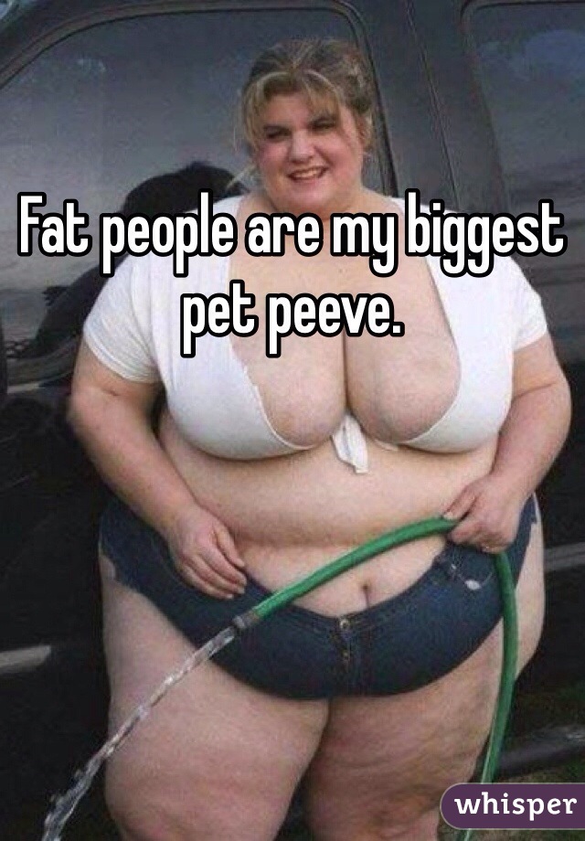 Fat people are my biggest pet peeve. 