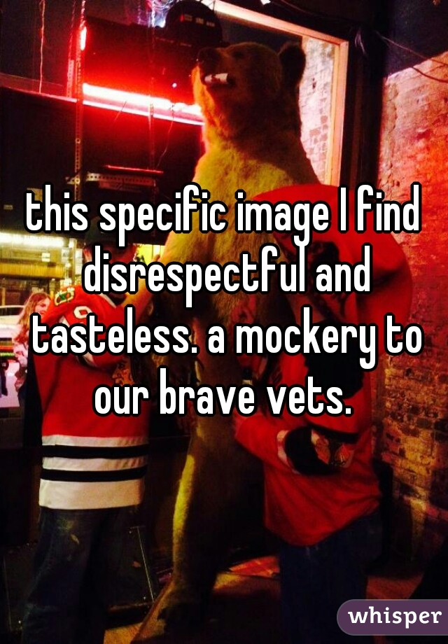 this specific image I find disrespectful and tasteless. a mockery to our brave vets. 