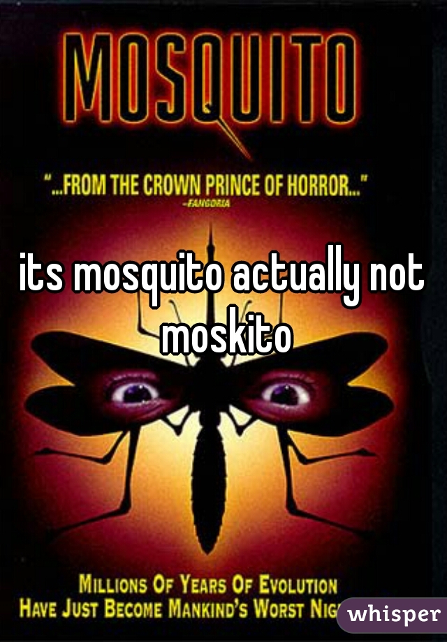 its mosquito actually not moskito