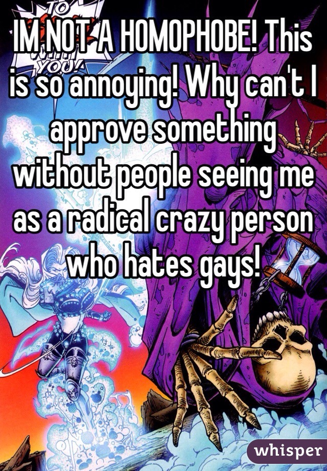 IM NOT A HOMOPHOBE! This is so annoying! Why can't I approve something without people seeing me as a radical crazy person who hates gays!  