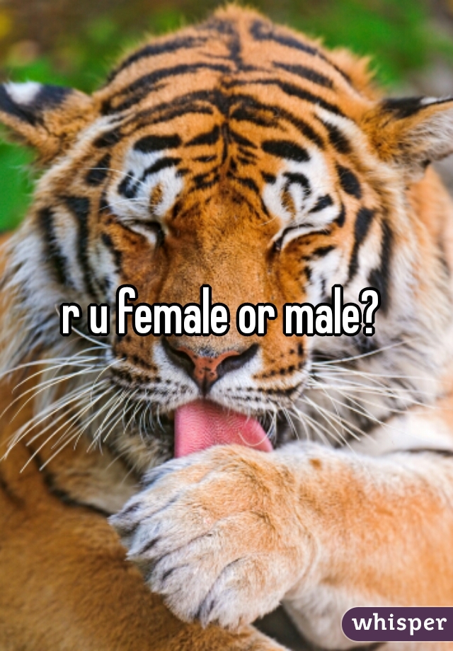 r u female or male? 