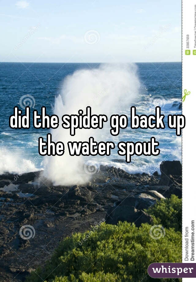 did the spider go back up the water spout