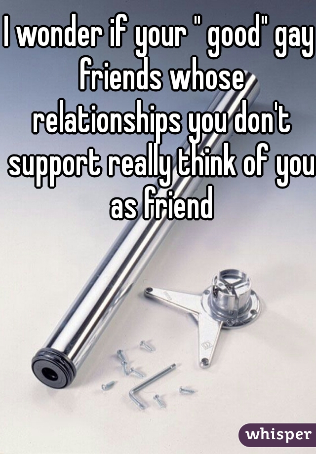I wonder if your " good" gay friends whose relationships you don't support really think of you as friend