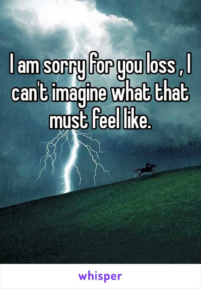 I am sorry for you loss , I can't imagine what that must feel like.