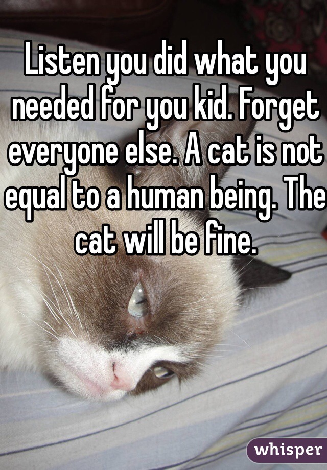 Listen you did what you needed for you kid. Forget everyone else. A cat is not equal to a human being. The cat will be fine. 